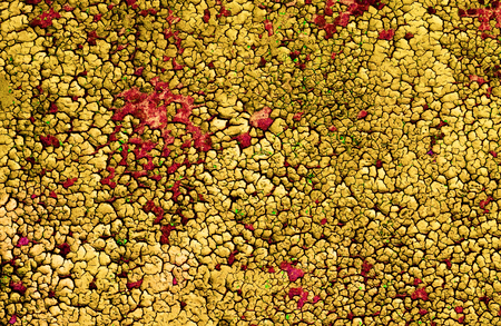 Texture - old yellow paint on a wooden surface, severely chappedの写真素材