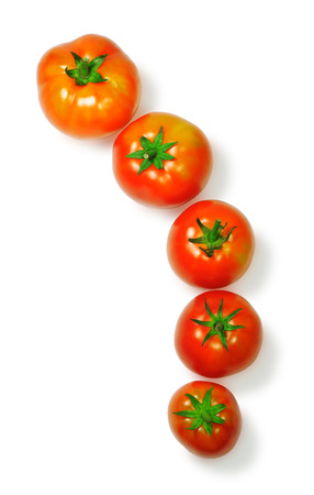 Five orange tomatoes of different sizes, placed in a row, isolated on white backgroundの写真素材