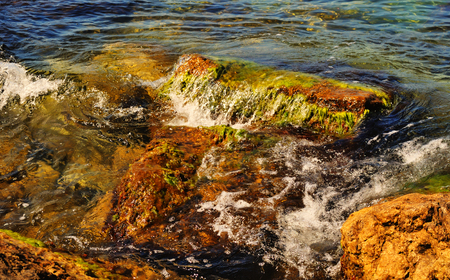 Beautiful summer seascape - wave washes the stone with algae, Black seaの写真素材