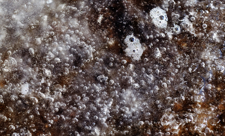 Natural background - air bubbles in the layer of ice that melts before the sun in early spring
の写真素材