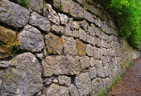The wall, built of stones, with the overhanging branches of bushes, close-up in spring park
の写真素材