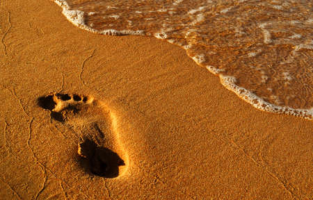 The footprint of man in wet yellow sand on the beach in the eveningの写真素材