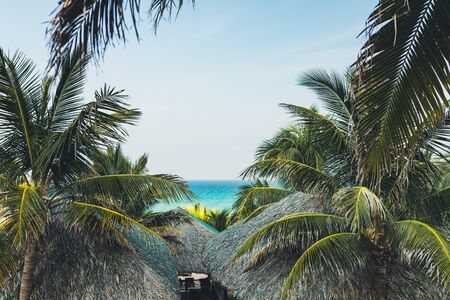 Bungalows by the sea among coconut trees, empty beach white sand empty sunbeds, relaxation among the jungleの写真素材