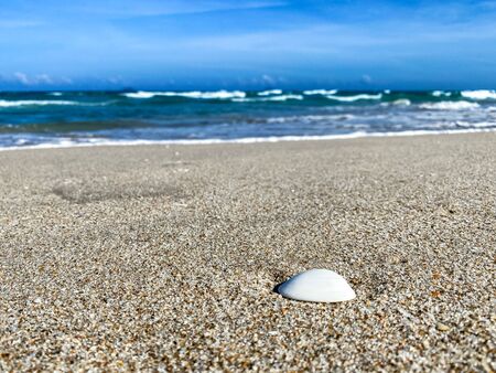 Tropical beach with shells in the foreground on the sand and blurry sea, summer vacation, background. Travel and beach vacation, free space for text.の写真素材