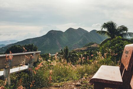Beautiful view of the mountains in the sunset light, palm trees, green grass, clouds in the sky, the...