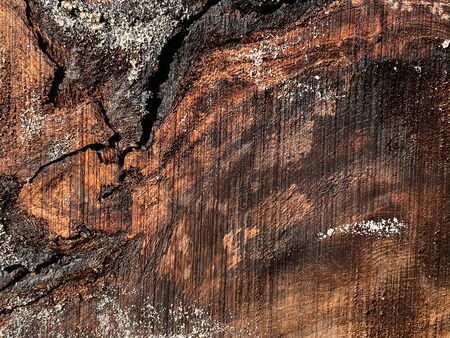 Natural wood, wood cut, aged wood, cracks from time and weather. Brown background, wood texture. Place for printing.の写真素材