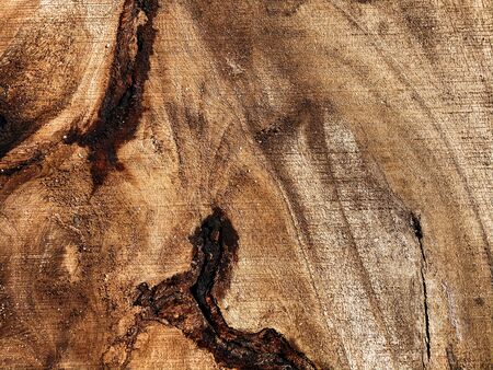 Natural wood, wood cut, aged wood, cracks from time and weather. Brown background, wood texture....