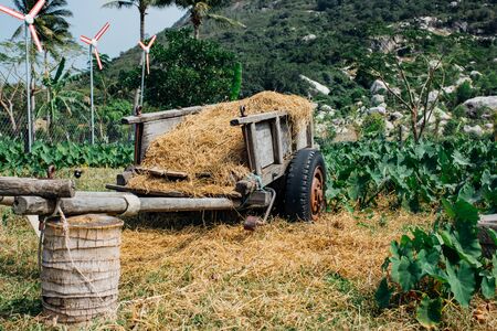 Hay, haystack, agriculture, cart. Rural landscape, view of rice fields, beautiful view of mountains, rivers and a farm village. Blue sky with white clouds. Beautiful asian landscapeの写真素材