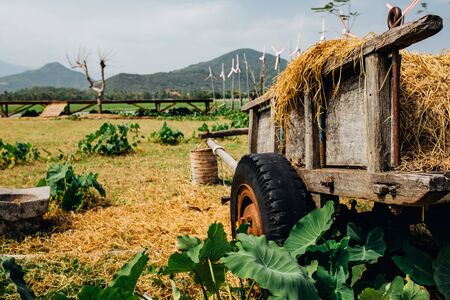 Hay, haystack, agriculture, cart. Rural landscape, view of rice fields, beautiful view of mountains, rivers and a farm village. Blue sky with white clouds. Beautiful asian landscapeの写真素材