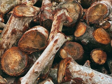 Natural wood, wood cut, aged wood, cracks from time and weather. Brown background, wood texture. Place for printing.の写真素材