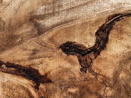 Natural wood, wood cut, aged wood, cracks from time and weather. Brown background, wood texture. Place for printing.の写真素材