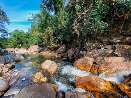 A small mountain river flows among large stones in mountainous areas through the forest. Natural...