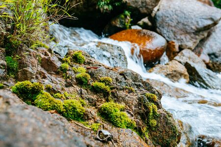 A small mountain river flows among large stones in mountainous areas through the forest. Natural landscape, with a clean river a beautiful landscape, clean air. Ecologically clean area.の写真素材
