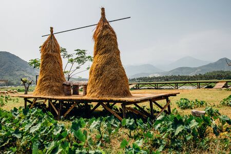Hay, haystack, agriculture, cart. Rural landscape, view of rice fields, beautiful view of mountains,...