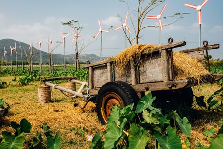 Hay, haystack, agriculture, cart. Rural landscape, view of rice fields, beautiful view of mountains, rivers and a farm village. Blue sky with white clouds. Beautiful asian landscapeの写真素材