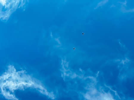 Two propeller-driven aircraft are flying in a blue sky with small white clouds. Clear sunny weather, good day for a training flight. Copy spaceの写真素材