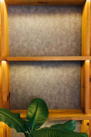 Empty Wooden Bookshelf With Gray Backdrop, Wall. Backlight to attract attention. Copy space. place for insert or logoの写真素材
