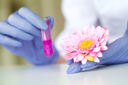 Herb Medicine. Production and Packaging of Cosmetic Products. Moisturizing Face Cosmetic. Beauty Product Concept, Doctor and Medicine Experimentsの写真素材