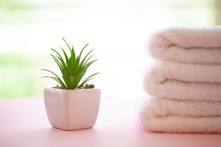 Spa. Rolled White Body Towels on Pink Background. Towel Concept. Photo For Hotels and Massage...