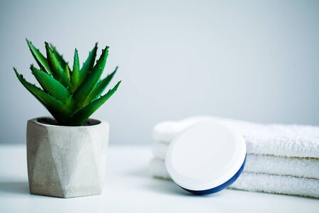 Spa concept. Moisturizing cream and aloe on table in bath roomの写真素材