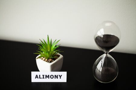 Alimony payment concept. Schedule of payment for childcareの写真素材