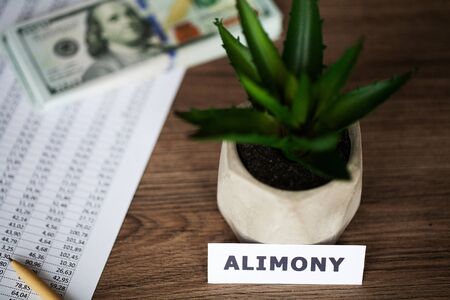Divorce and separation concept. Alimony written on white card.の写真素材