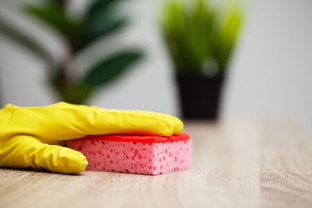 Close Up cleaning company worker hand holding spongeの写真素材