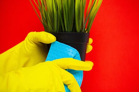 Product for professional cleaning on red backgroundの写真素材