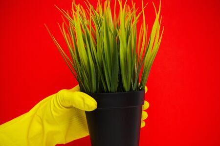Product for professional cleaning on red backgroundの写真素材