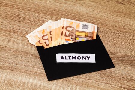 Concept of alimony, money for childcare costs