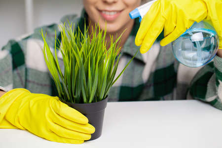 Cleaning company worker cares for a plant