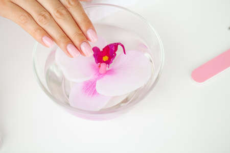 Female fingers with beautiful nails after a new manicure