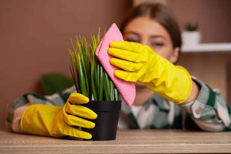 Happy house wife with spray taking care of plants at her homeの写真素材