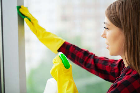 Happy young woman housewife washes a windowの写真素材