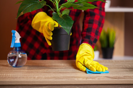 Woman cleans office in the yellow gloves wipes the dust off the office deskの写真素材