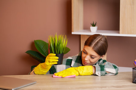 Woman wipes the dust off the leaves with a damp soft cloth.の写真素材