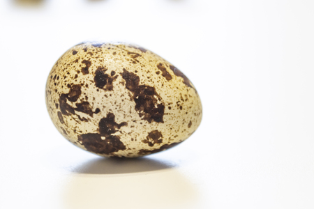 Quail eggs. Group of quail eggs isolated on white background. Closeup photoの写真素材