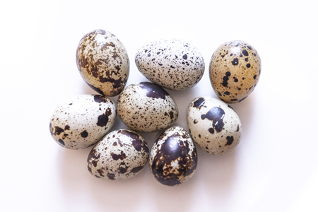 Quail eggs. Group of quail eggs isolated on white background. Closeup photoの写真素材