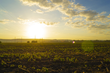 Beautiful morning colorful sunrise. View of foggy fields with blue cloudy sky. Scenic landscapeの写真素材