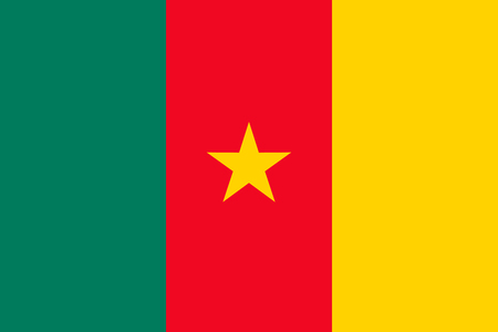 Cameroon national flag. Vector illustration. Yaoundeのイラスト素材