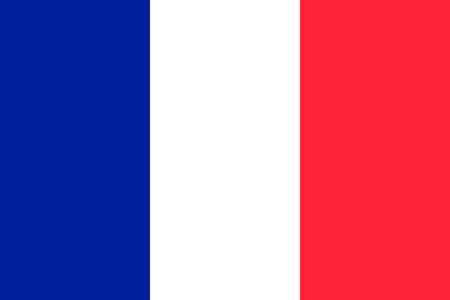 The national flag of France. Vector illustration. Parisのイラスト素材