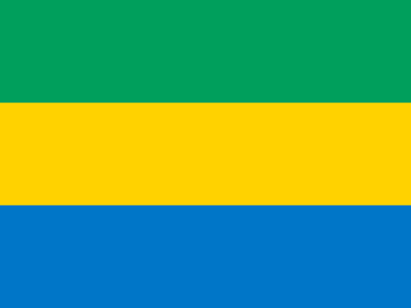 The national flag of Gabon. Vector illustration. Librevilleのイラスト素材