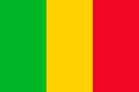 The national flag of Mali. Vector illustration. Bamakoのイラスト素材