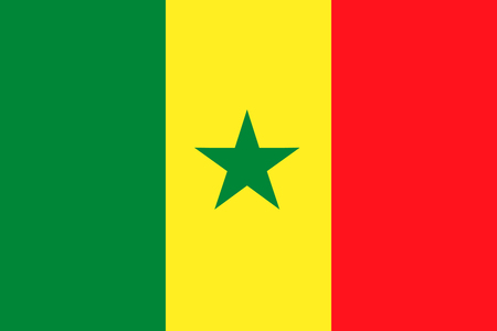 The national flag of Senegal. Vector illustration. Dakarのイラスト素材