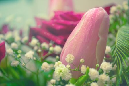 Pink tulip flower in bouquet on blurred background. Macro photography. Holidaysの写真素材