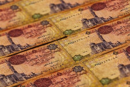 Money of Egypt. Egyptian pound background. One poundの写真素材