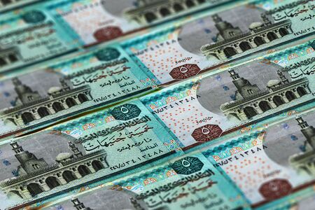 Money of Egypt. Egyptian pound background. Five poundsの写真素材