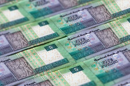 Money of Egypt. Egyptian pound background. Five poundsの写真素材
