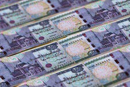 Money of Egypt. Egyptian pound background. Twenty poundsの写真素材
