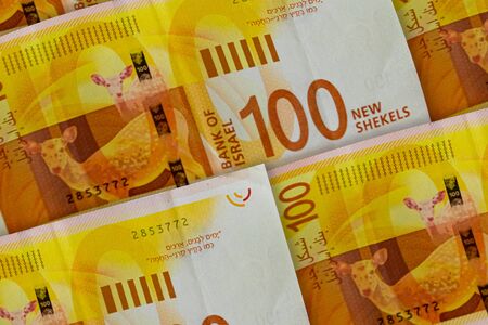 Israeli shekels background. 100 shekels pattern. Money of Israel. Business background
